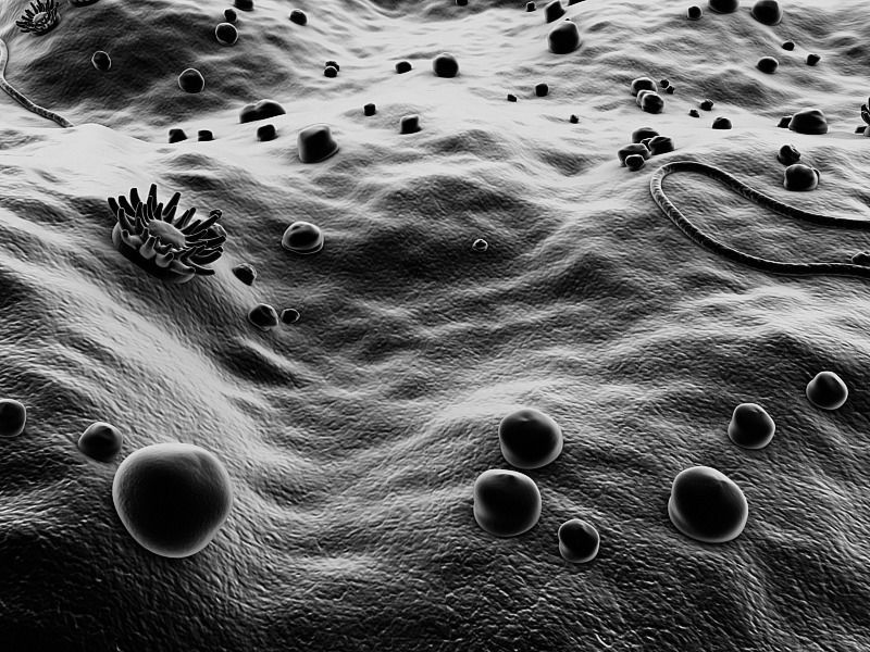 Microscopic Environment 3D model_4