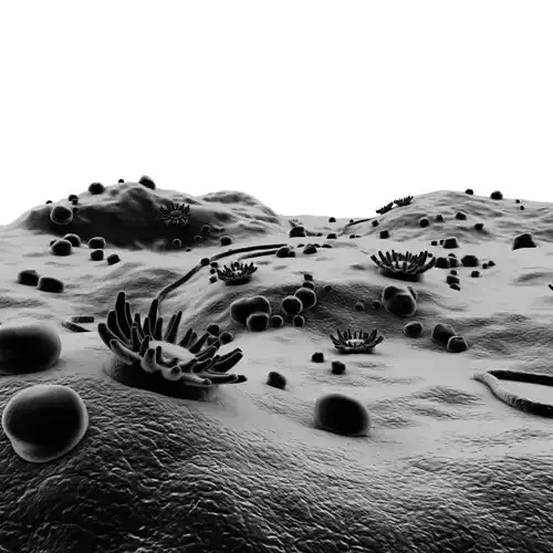 Microscopic Environment