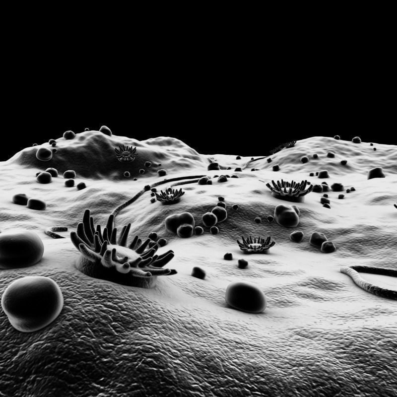 Microscopic Environment 3D model_1