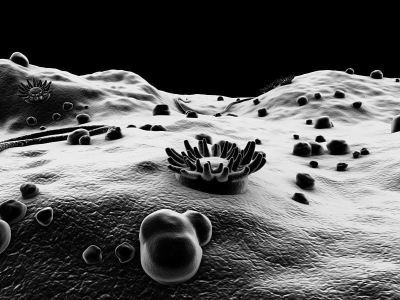 Microscopic Environment 3D model_6