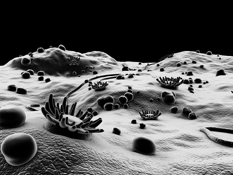 Microscopic Environment 3D model_8