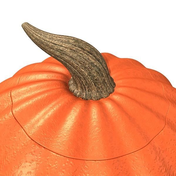 Jack O Lantern 3D model_7