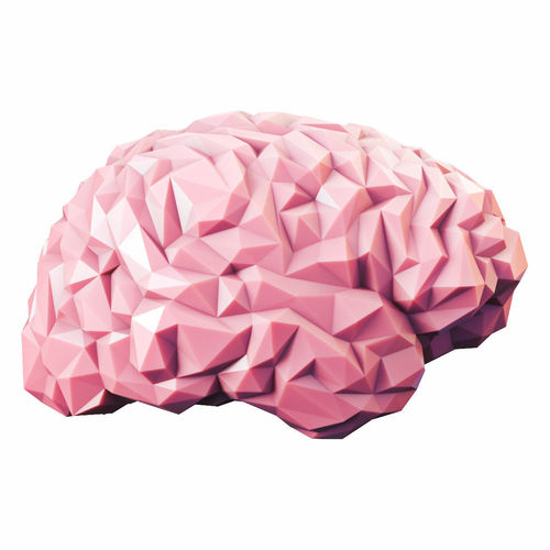 Brain Low Poly V3 Low-poly 3D model