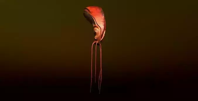 Nautilus head of snake Low-poly 3D model