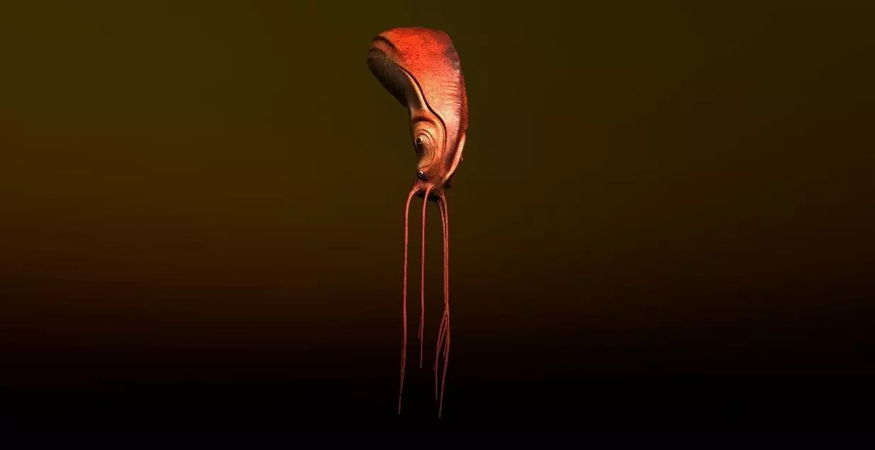 Nautilus head of snake Low-poly 3D model