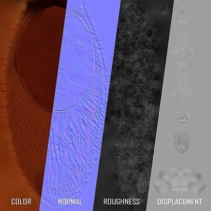 Arion Vulgaris Low-poly 3D model_7