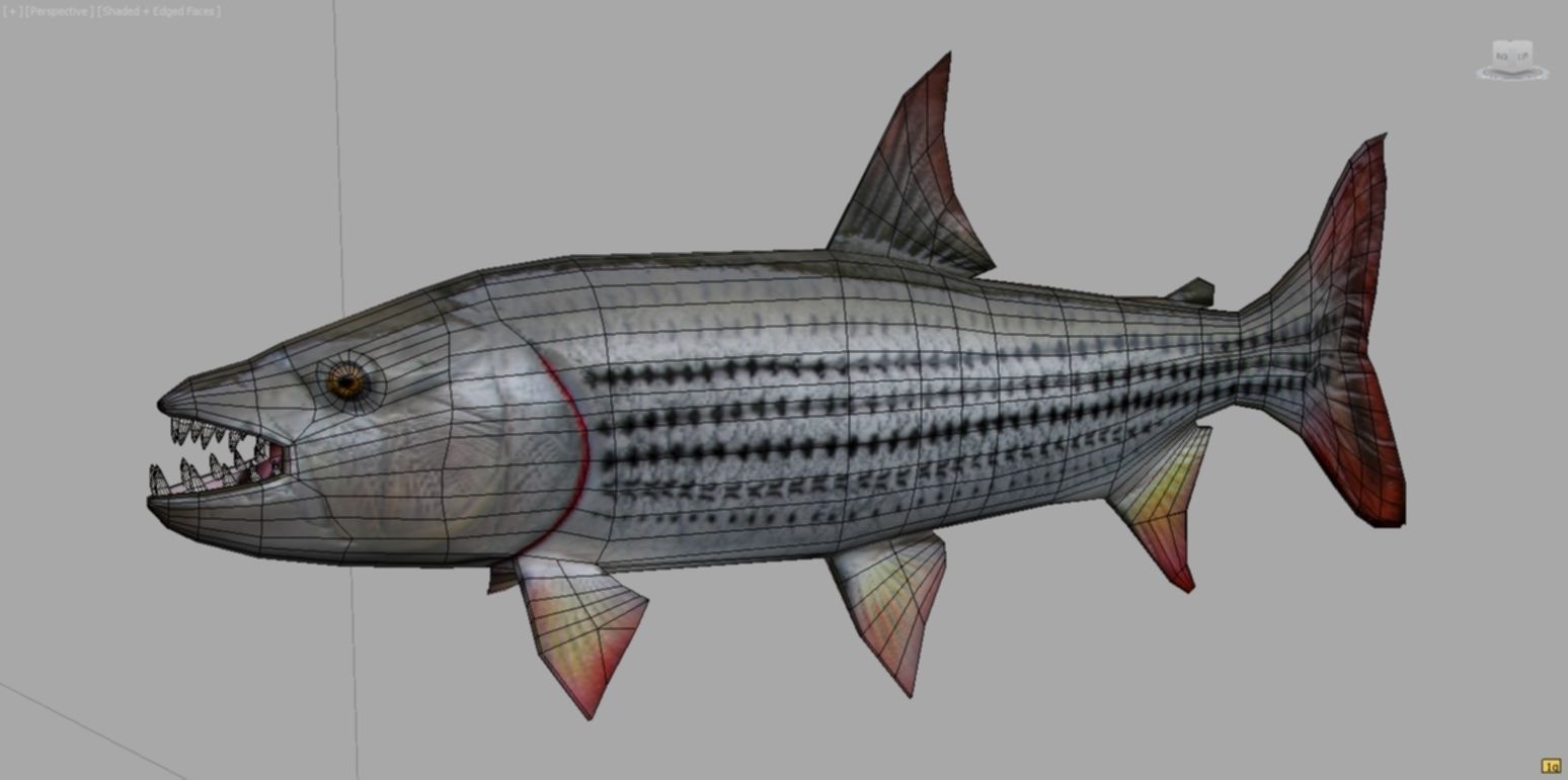 goliaht tiger fish rigged Low-poly 3D model_7