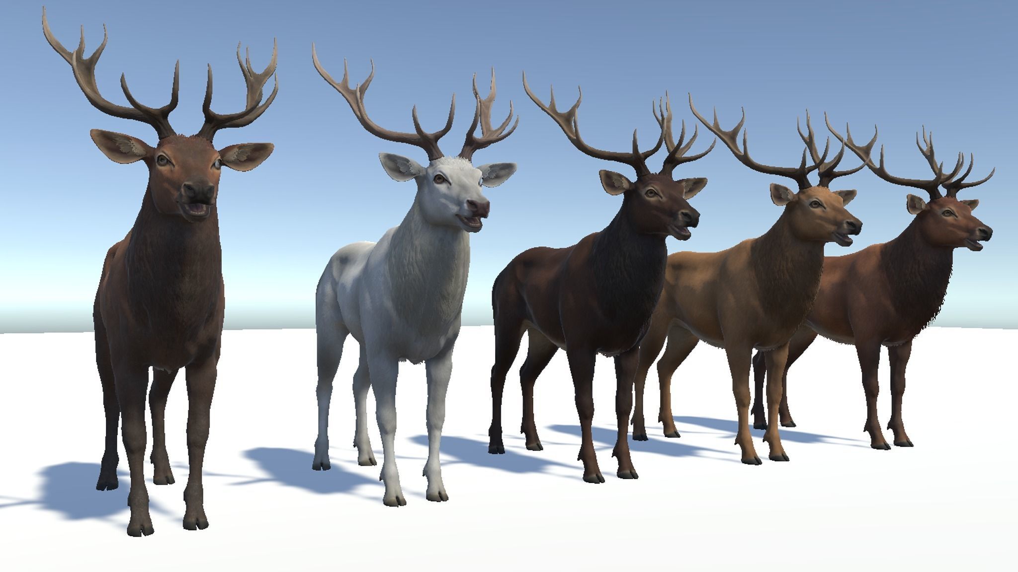 Red Deer stag  Low-poly 3D model_16