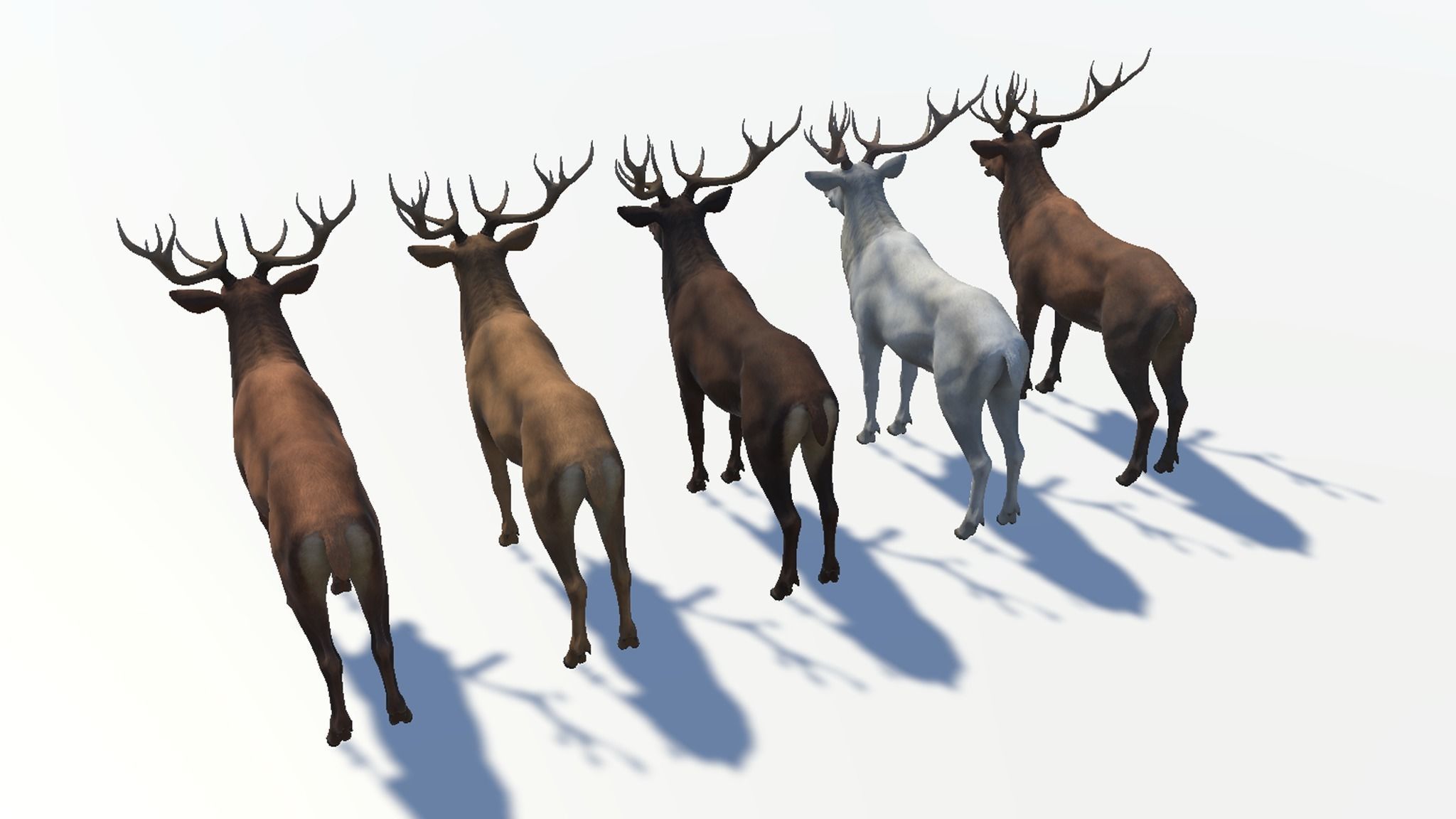 Red Deer stag  Low-poly 3D model_17