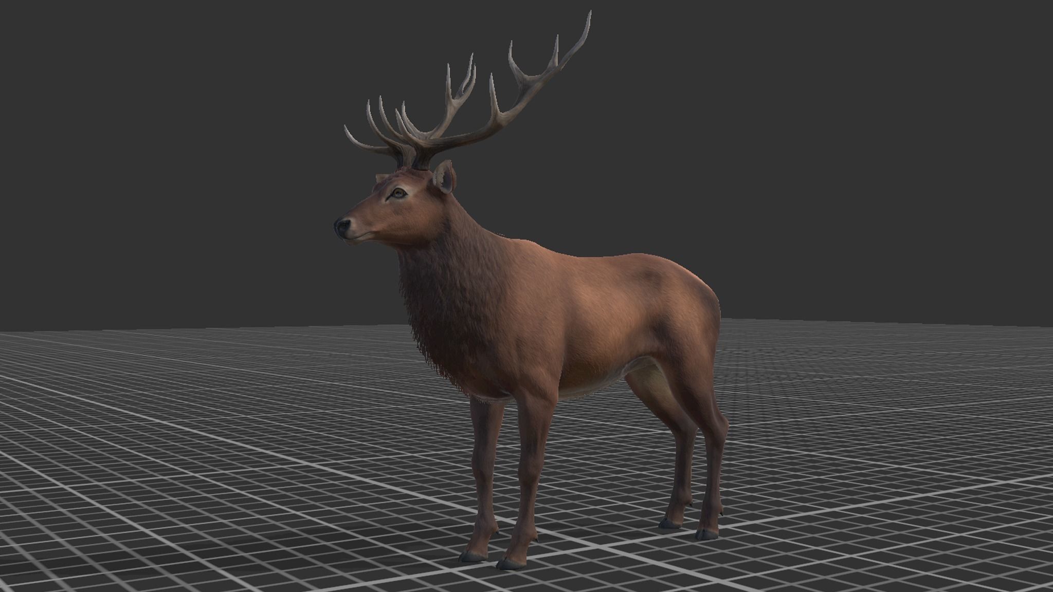 Red Deer stag  Low-poly 3D model_14