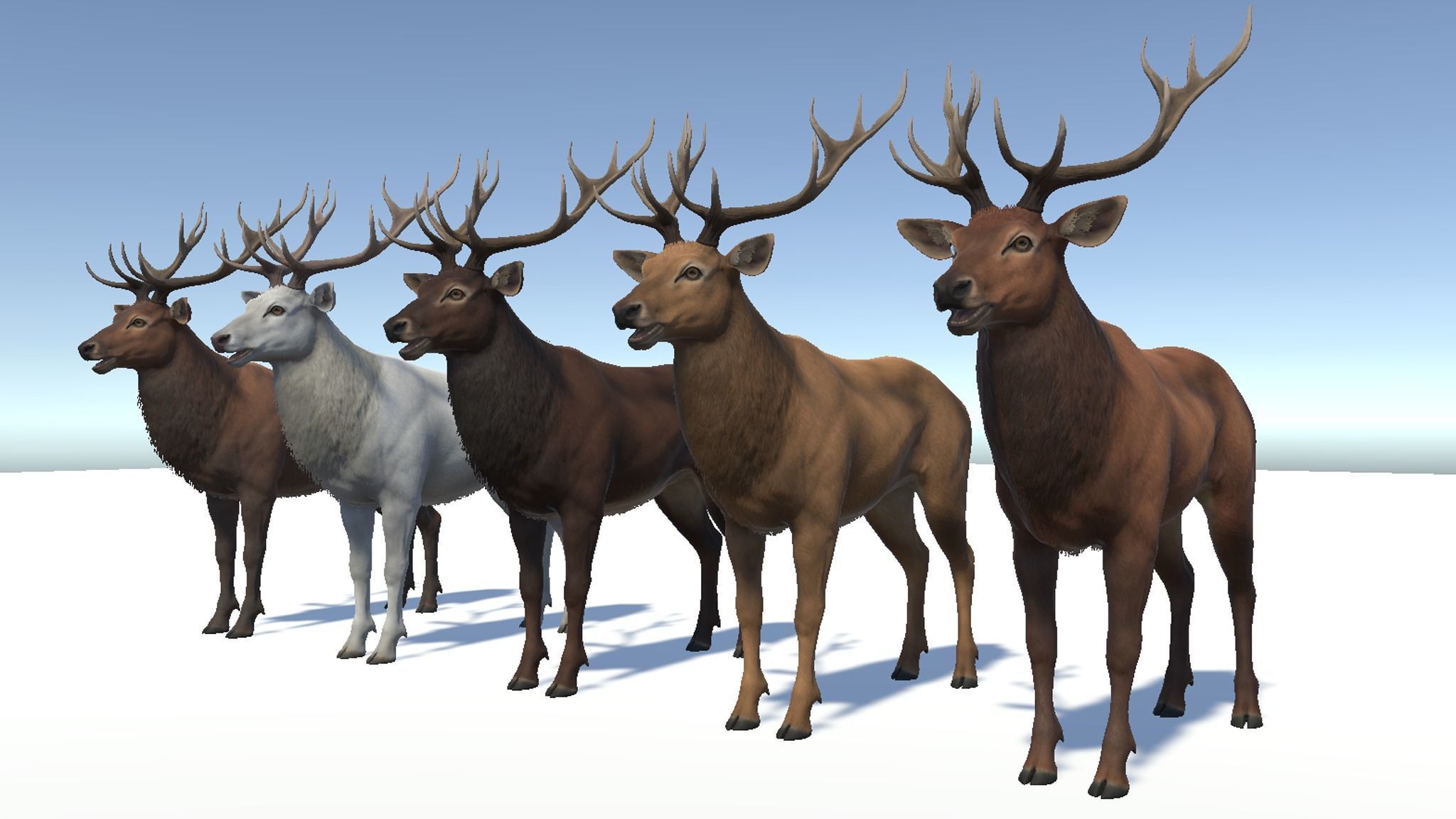 Red Deer stag  Low-poly 3D model_15