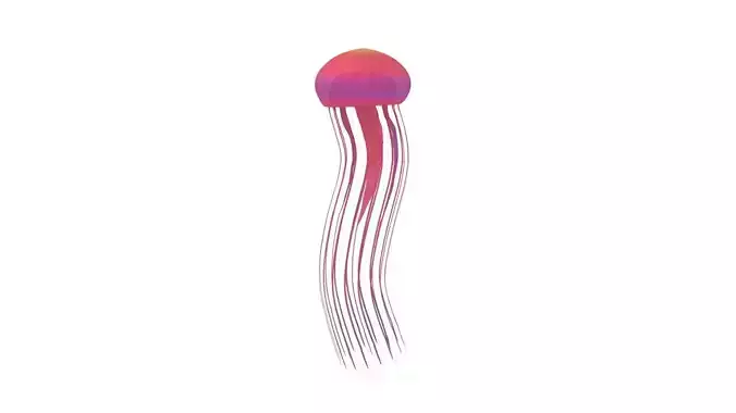 Jellyfish 3D model