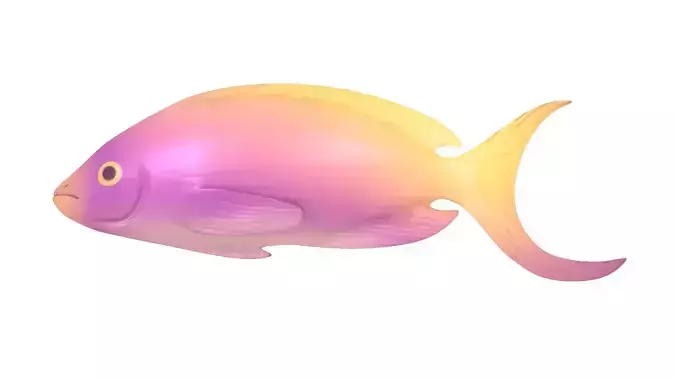 Fish Purple-Yellow 3D model