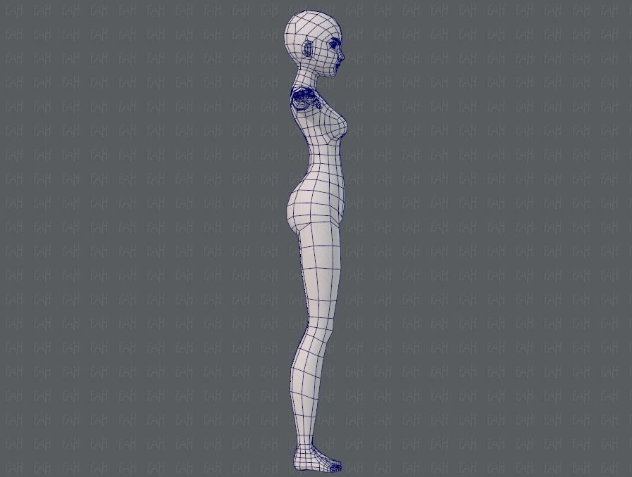 Base mesh woman 11 Low-poly 3D model_11