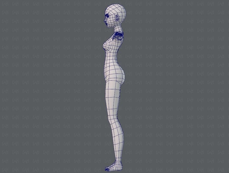 Base mesh woman 11 Low-poly 3D model_15