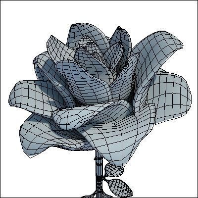 Roses rose 3D model_9