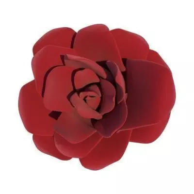 Roses rose 3D model_0