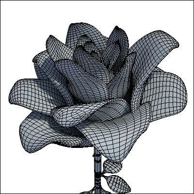 Roses rose 3D model_10