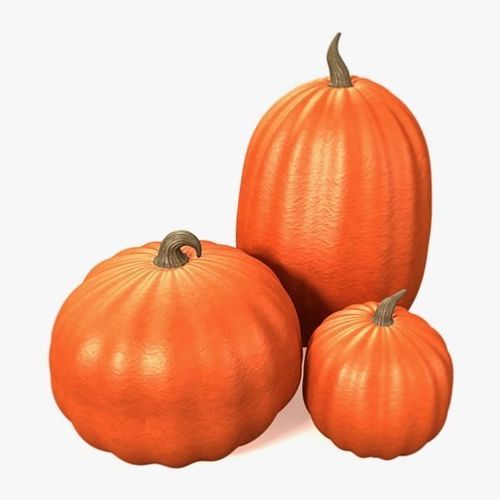 Pumpkins three orange 3D model