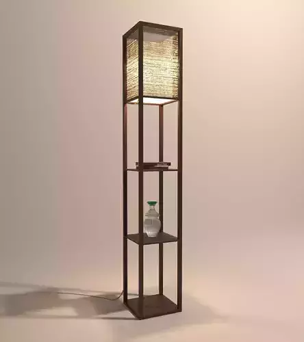 Floor Lamp and Decoration