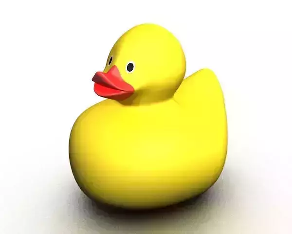rubber duck