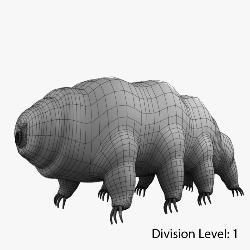 Tardigrade creature that looks like worm Low-poly 3D model_11