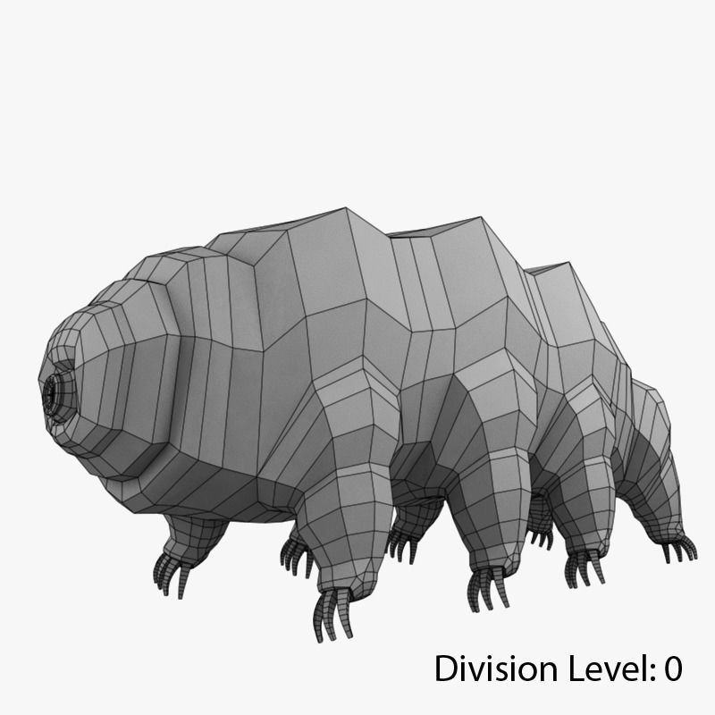 Tardigrade creature that looks like worm Low-poly 3D model_10