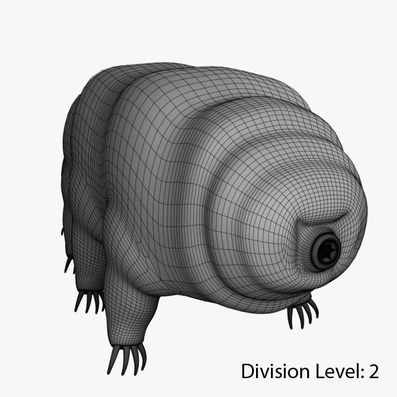 Tardigrade creature that looks like worm Low-poly 3D model_15