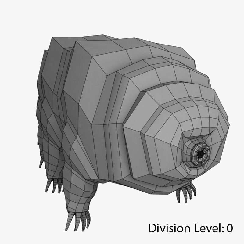 Tardigrade creature that looks like worm Low-poly 3D model_13