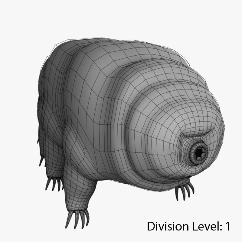 Tardigrade creature that looks like worm Low-poly 3D model_14