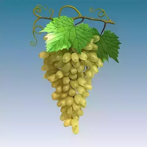 Grapes Cluster Green Low-poly 3D model