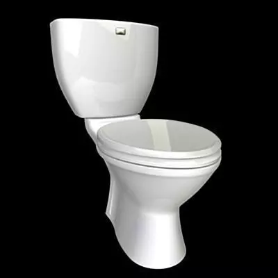 Toilet 3D model