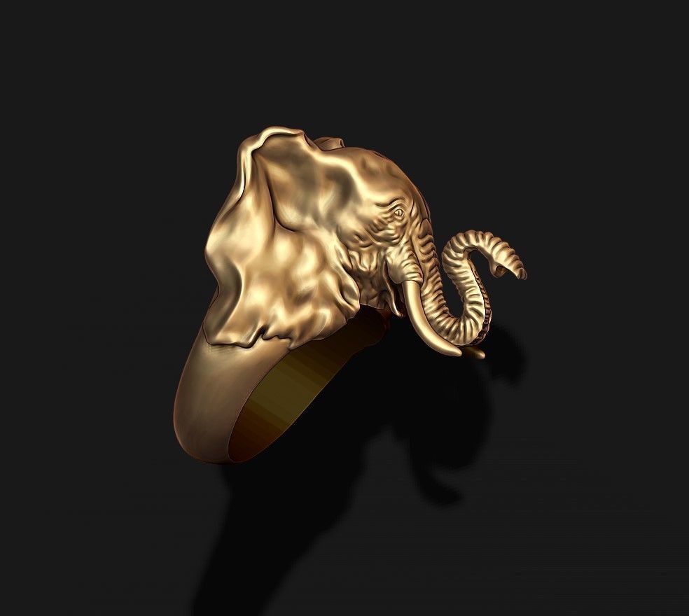 elephant ring 3D print model_2