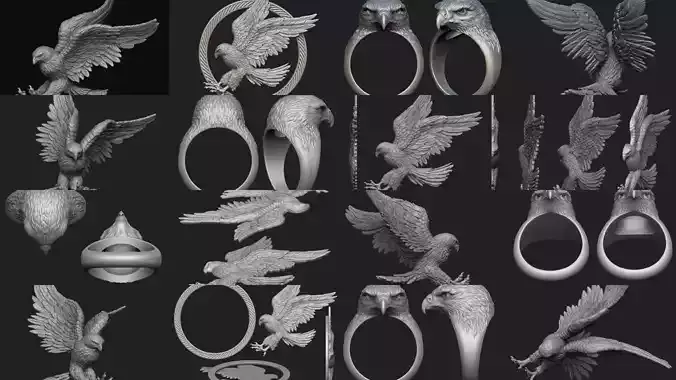 Hawk collection two eagle head rings 