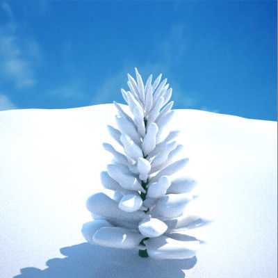 Snow Covered Trees 3D model_7