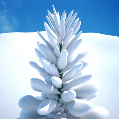 Snow Covered Trees 3D model_2