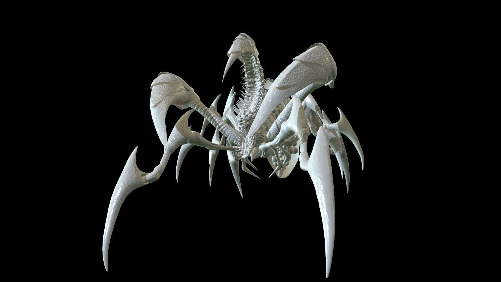 A large collection of high-poly models from the program zbrush _9