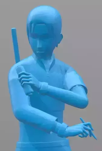 Sai Yamanaka 3d printed model