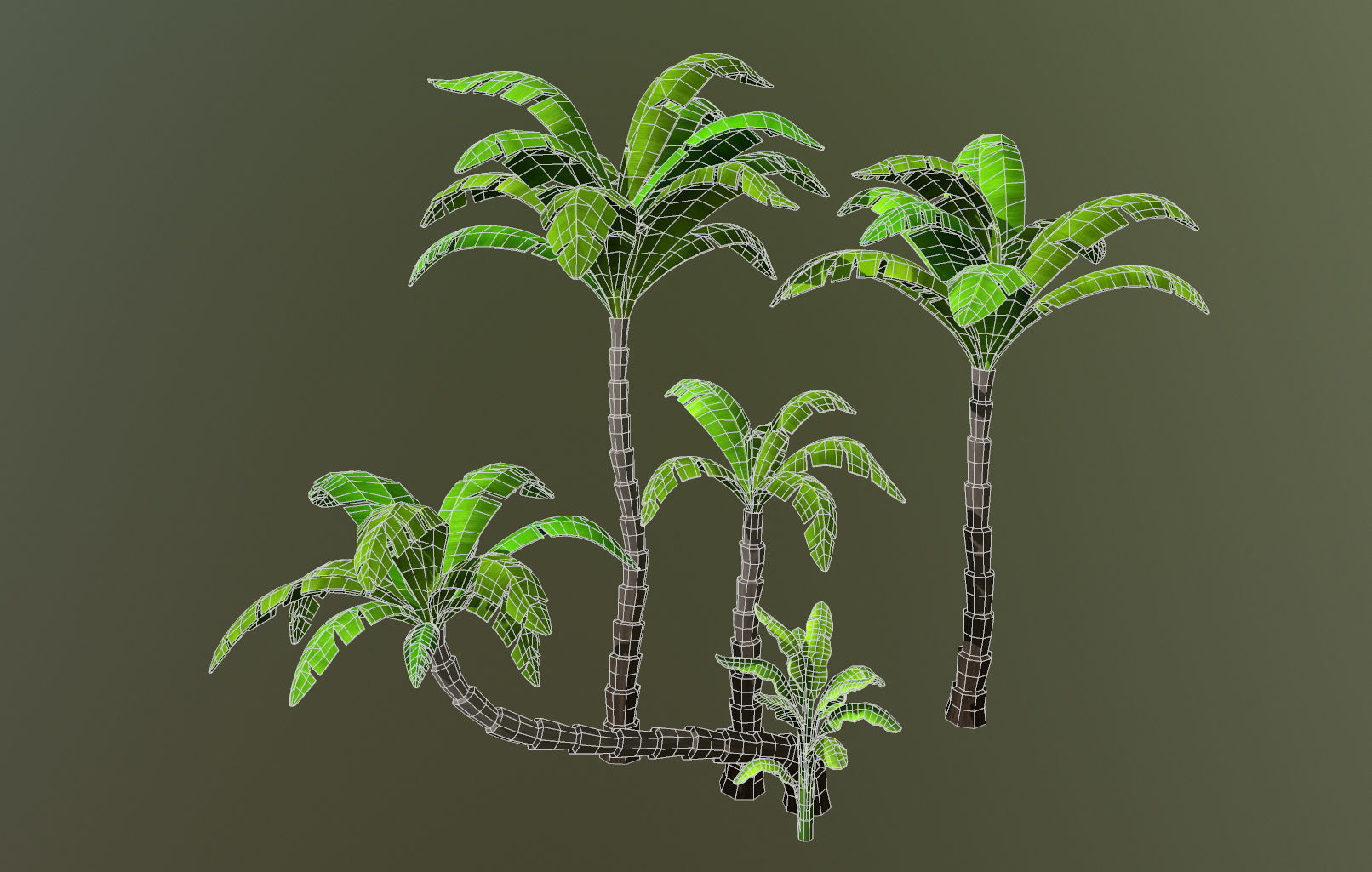 Palm Trees Package  Low-poly 3D model_5