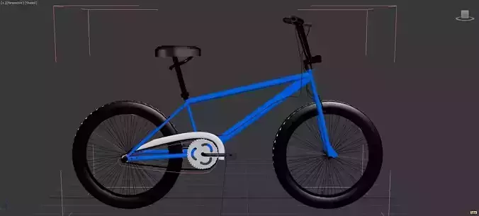 Bicycle bike in software