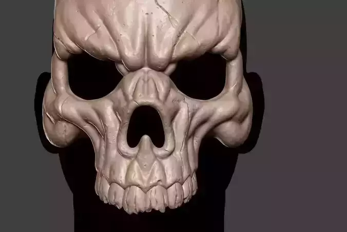Skull Mask 9 3D print model
