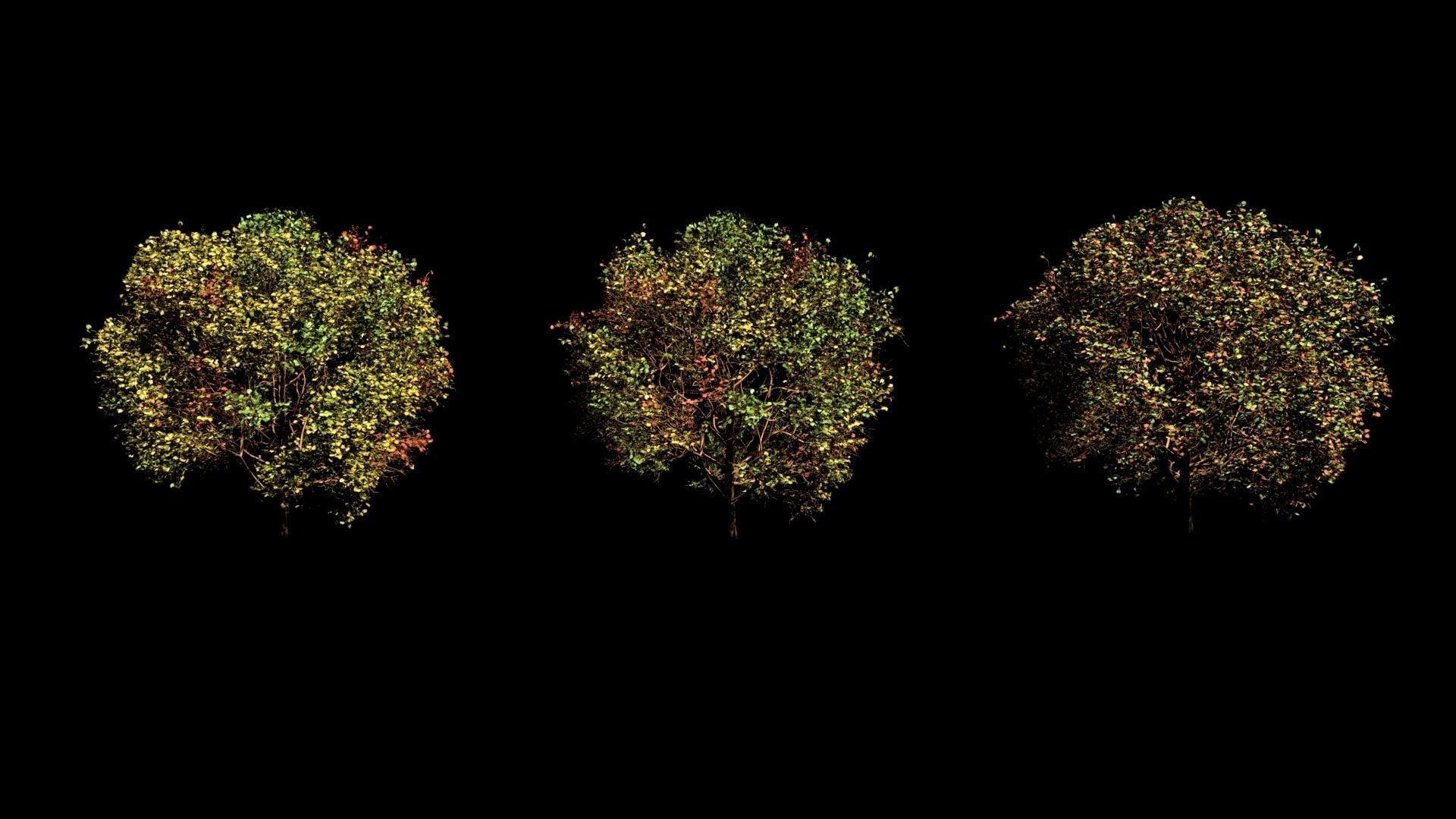 Quincy Market Boston Exterior 3D model_7