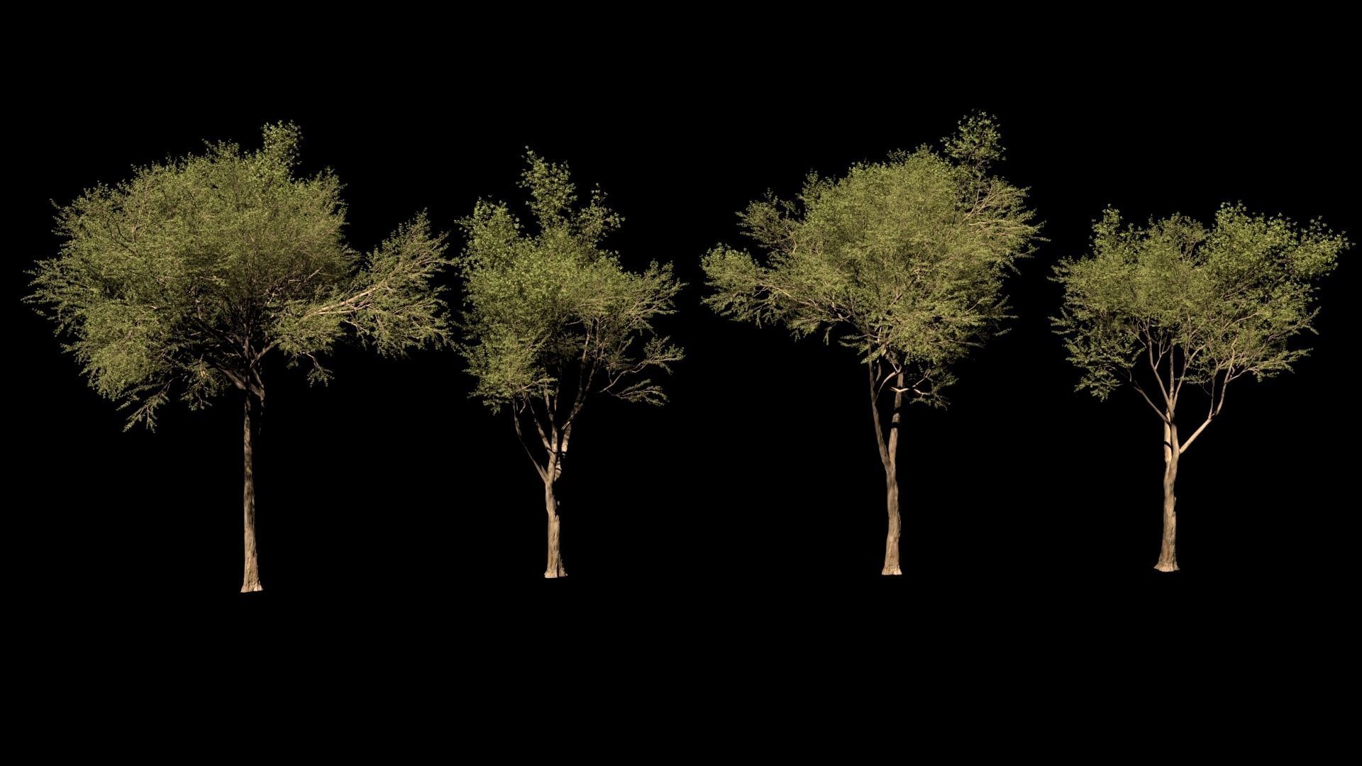 Quincy Market Boston Exterior 3D model_8