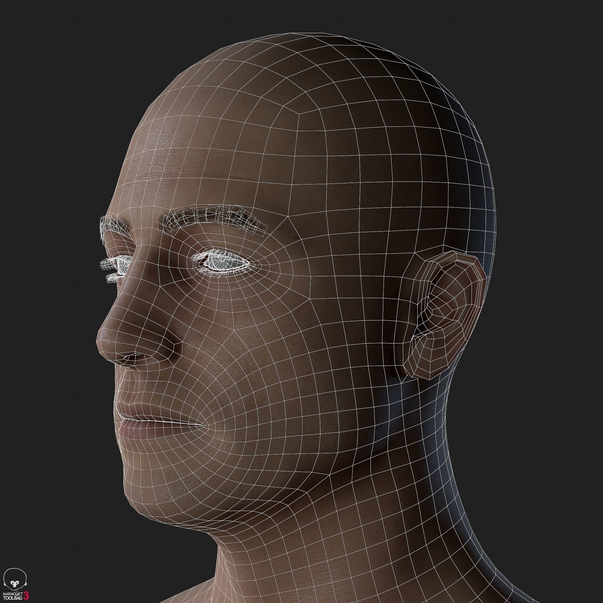 Average Caucasian Male Body Low-poly 3D model_43