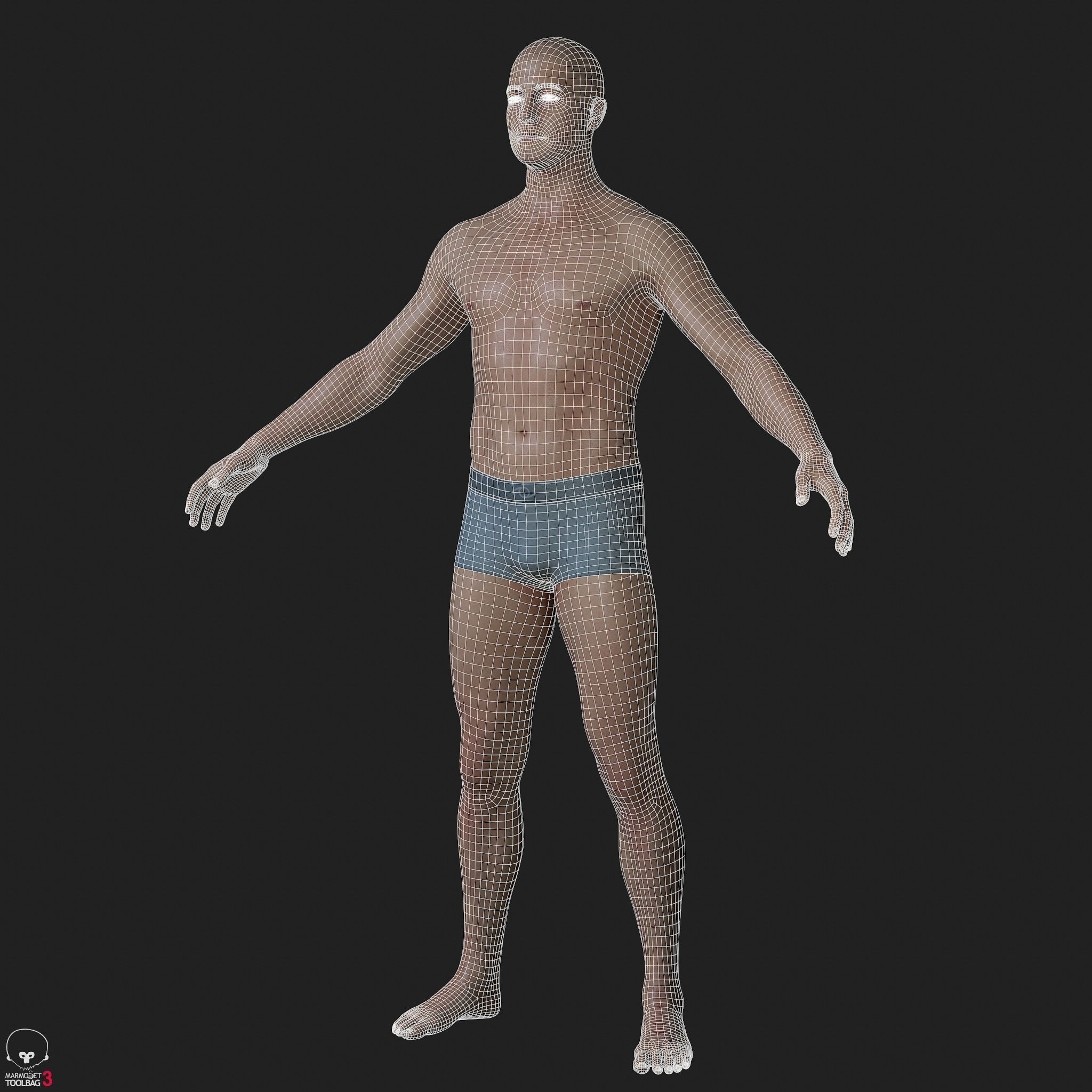 Average Caucasian Male Body Low-poly 3D model_39