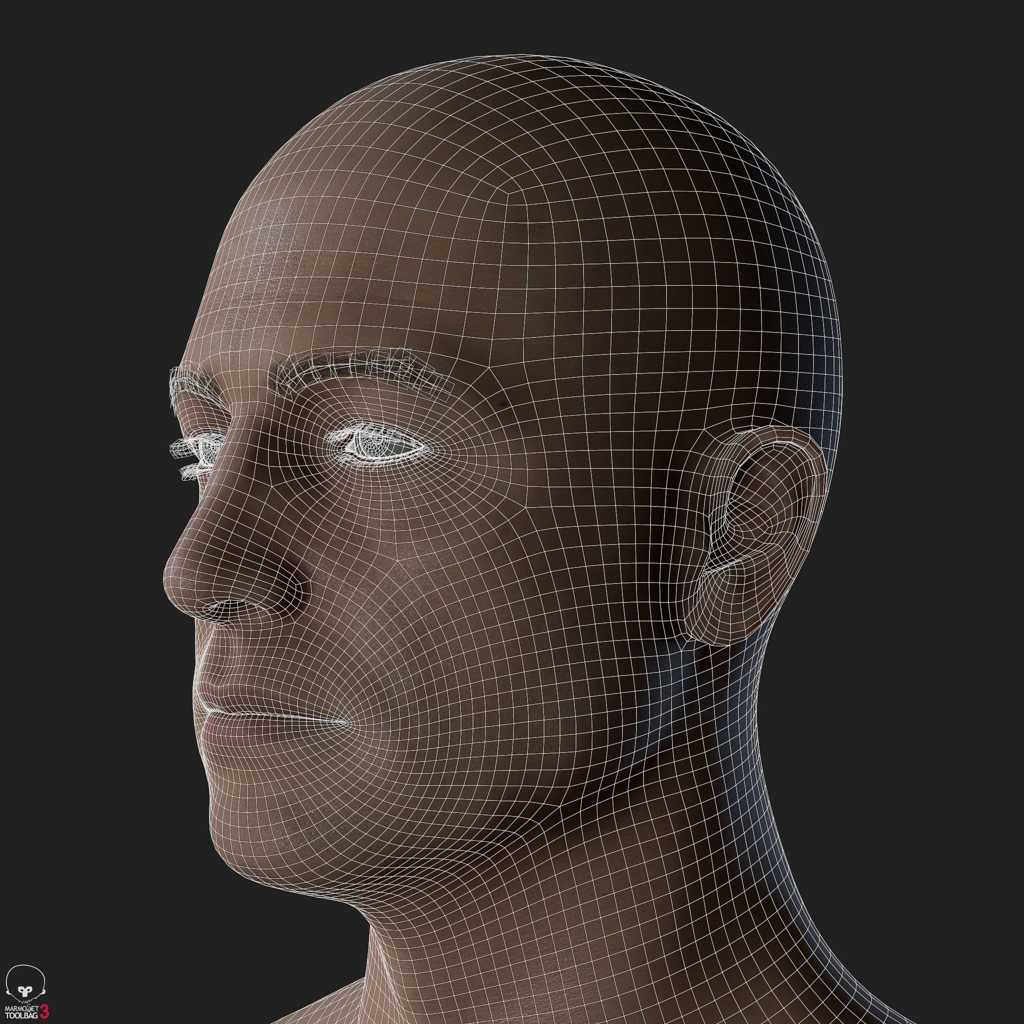 Average Caucasian Male Body Low-poly 3D model_44
