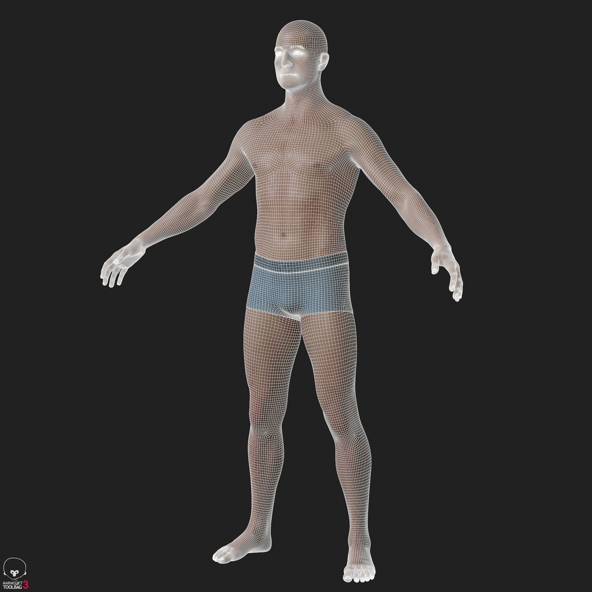 Average Caucasian Male Body Low-poly 3D model_40