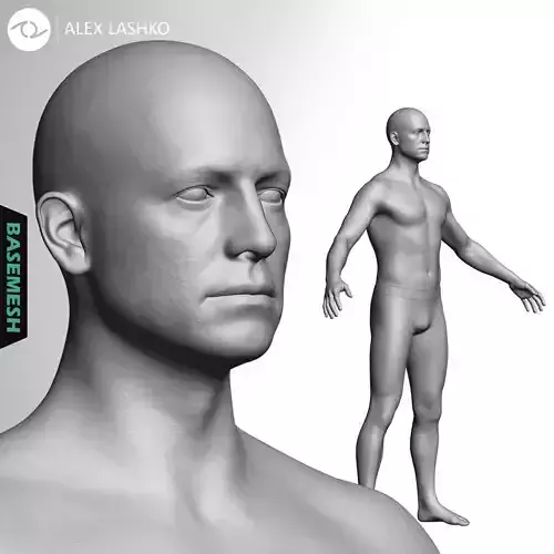 Average Caucasian Male Body Basemesh 3D model