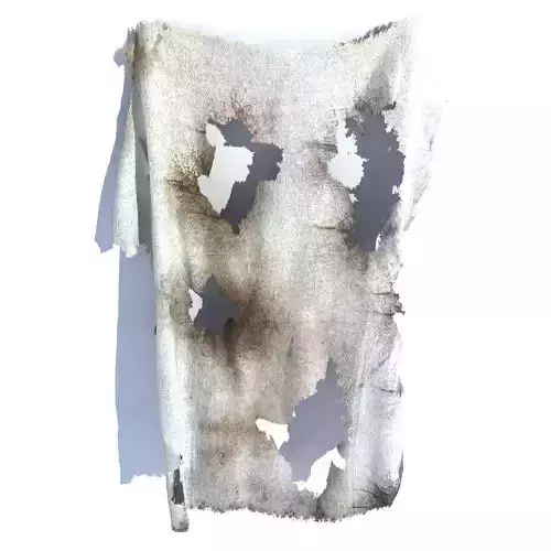 RAG dirty material 3D model
