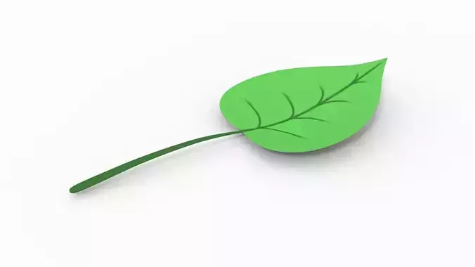 Leaf with Shapes 3D model